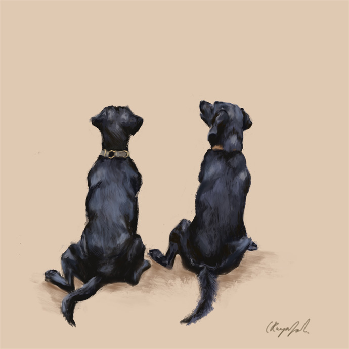 Black Labs - Personalised digital pet artwork London. Clementina Raynsford