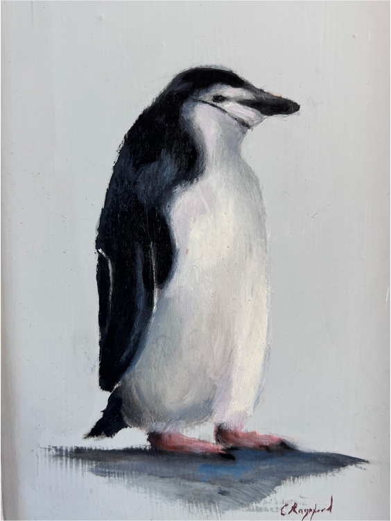 Chinstrap Penguin