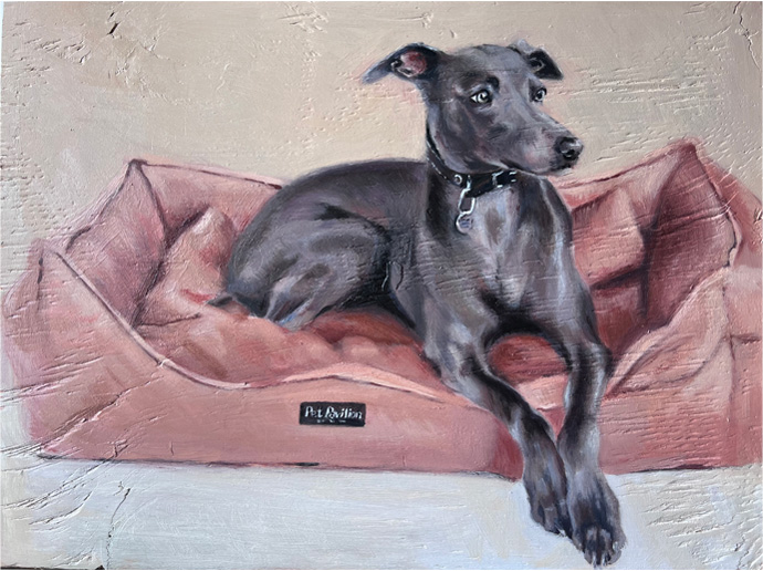 Dog portraiture of Enzo. Commissioned oil on canvas artwork by Clementina Raynsford