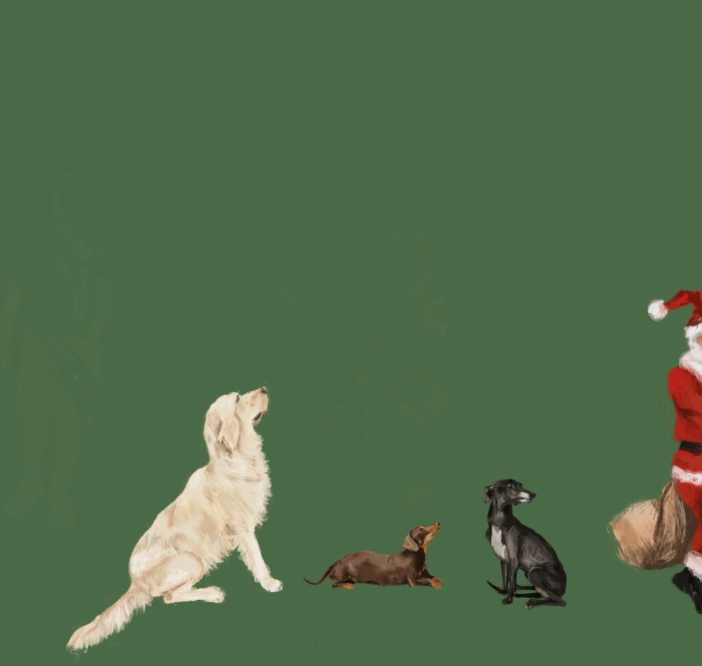 Dogs & Santa Christmas Card