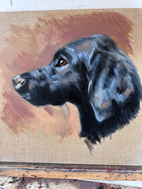 Oil on canvas pet portraiture commissions in London, step 4, Creating the Portrait