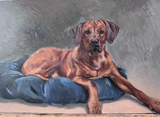 Pet portraiture in oil