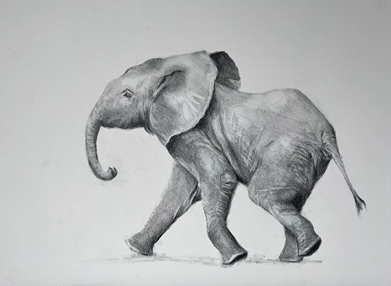 Pencil and Charcoal Portraiture Commissions process step 1, Initial Commitment & Deposit