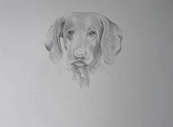 Pencil and Charcoal Portraiture Commissions process step 3, Choosing the Best Reference Image