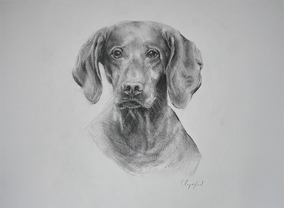 Pencil and Charcoal Portraiture Commissions process step 5, Completion & Final Payment