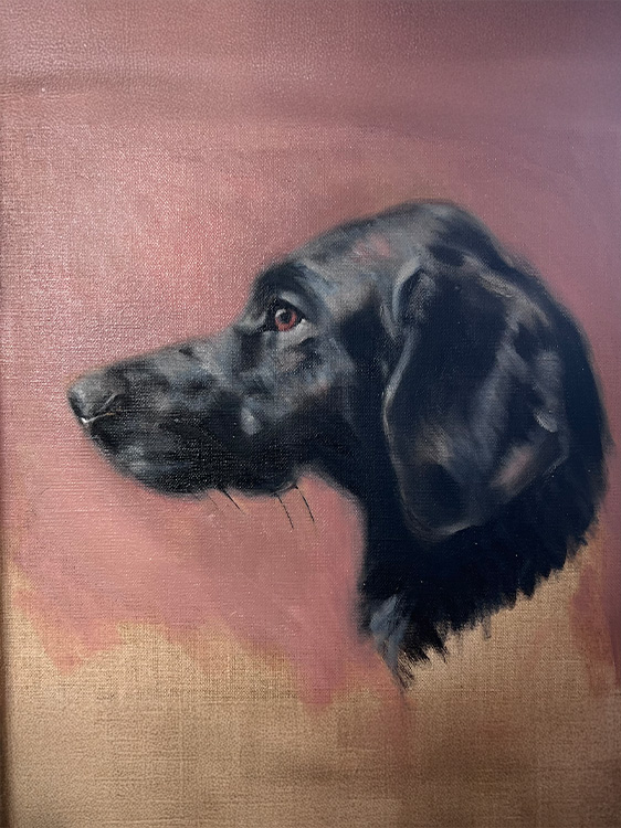 Oil on canvas pet portraiture commissions in London, step 4, Creating the Portrait