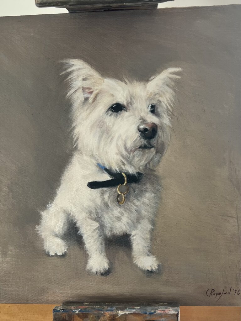 Clementina Raynsford's latest commission: West Highland Terrier in Oils